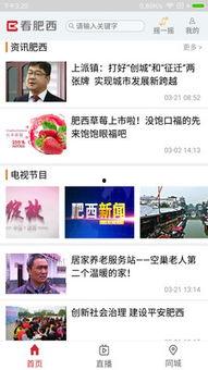 肥西新闻爆料,揭秘当地民生热点事件背后的真相