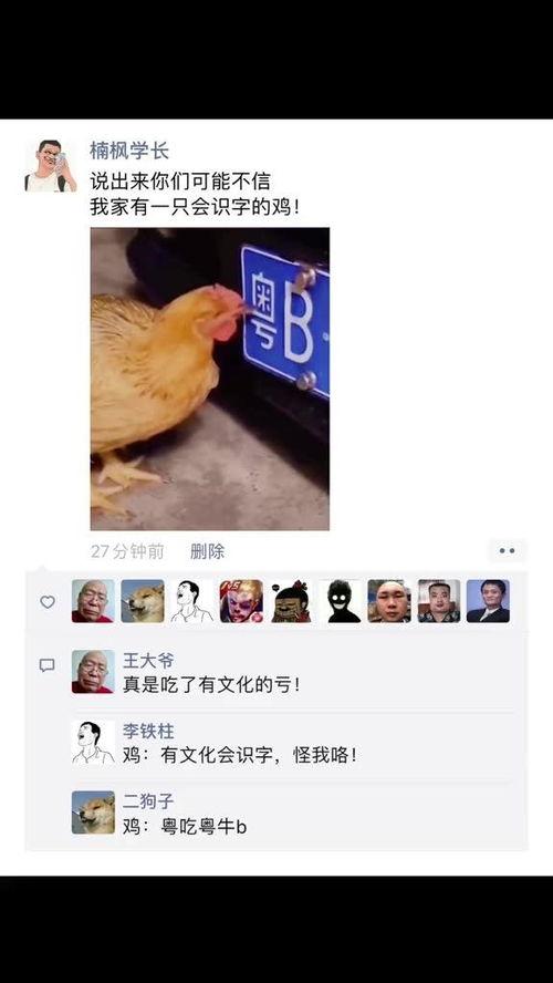 搞笑爆料神评视频大全集,笑点爆棚，欢乐无限